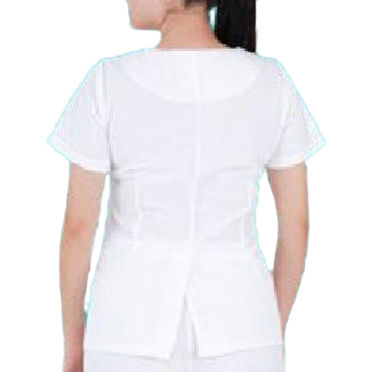 Filipina Enfermeria Dama AMB Lin